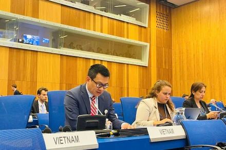 Đại sứ Vũ Lê Thái Hoàng, Trưởng Phái đoàn Thường trực Việt Nam tại Liên hợp quốc 