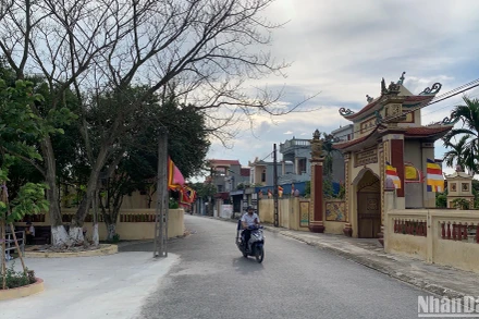 Xã Tam Thanh là một trong những xã được tỉnh Nam Định xét công nhận đạt chuẩn nông thôn mới nâng cao năm 2023.