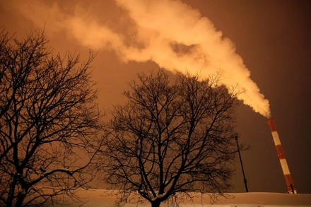 Ảnh minh họa. Nguồn: Reuters