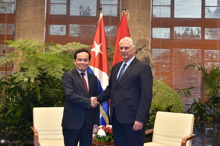 Phó Thủ tướng Trần Lưu Quang hội kiến đồng chí Miguel Diaz-Canel, Bí thư thứ nhất Ban Chấp hành Trung ương Đảng cộng sản Cuba, Chủ tịch nước Cuba - Ảnh: VGP