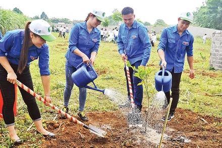 Hưởng ứng Tết trồng cây ở Yên Bái. Ảnh: H.Q