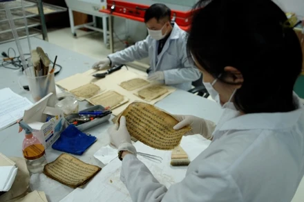 [Video] Tăng cường hợp tác quốc tế trong nghiên cứu, khai thác tư liệu Hán Nôm