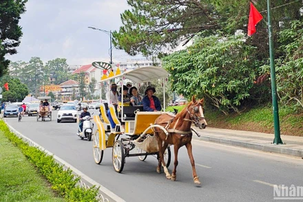 Dịch vụ xe ngựa chở khách tham quan quanh hồ Xuân Hương - Đà Lạt từng thu hút du khách.