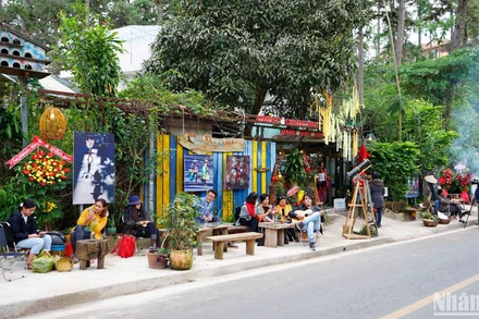 Trên Cung đường nghệ thuật Đà Lạt.