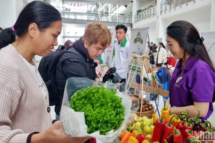 Đặc sản rau Đà Lạt được người tiêu dùng ưa chuộng. 