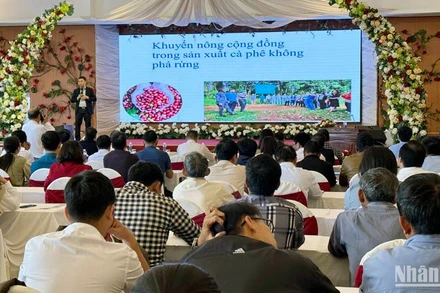 Quang cảnh tọa đàm.