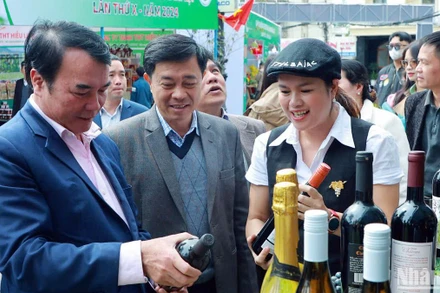 Phố rượu vang, trà, cà-phê và đặc sản Đà Lạt-Lâm Đồng chính thức khai trương trên đường Hồ Tùng Mậu, thành phố Đà Lạt.