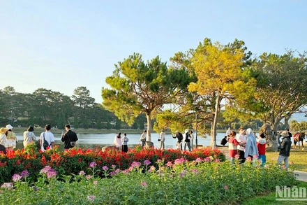 Khách du xuân thành phố ngàn hoa Đà Lạt tăng mạnh so với cùng kỳ năm 2023.