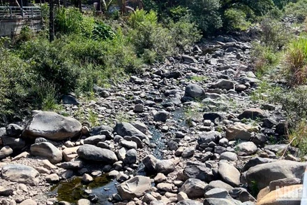 Suối Đạ M'rê nguồn cung cấp nước cho trạm cấp nước cạn trơ đáy khiến hơn 700 hộ dân thị trấn Đạ M'ri thiếu nước sinh hoạt trầm trọng.