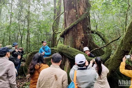 Trải nghiệm, khám phá Vườn quốc gia Bidoup-Núi Bà.