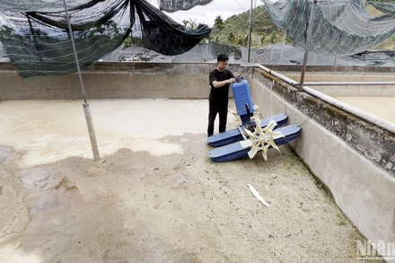 Nguồn nước suối Mát đang cạn kiệt khiến nhiều hộ nuôi cá nước lạnh tại xã Rô Men, huyện Đam Rông, Lâm Đồng lo lắng.