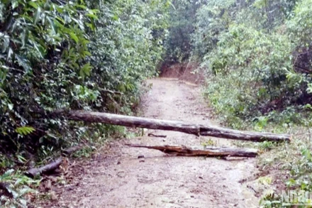 Khu vực xảy ra sự việc.