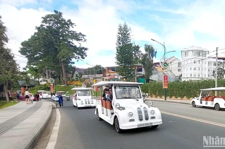 Ngừng thí điểm hoạt động dịch vụ xe điện chở du khách tham quan tại thành phố Đà Lạt.