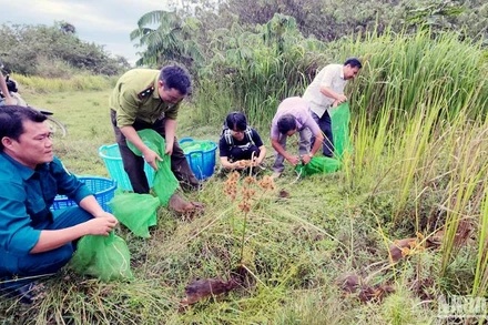 Các cá thể cheo cheo Nam Dương đã được thả về môi trường sống tự nhiên.