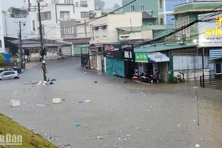Mưa lớn khiến đường Lê Văn Tám, TP Bảo Lộc ngập sâu, gây ách tắc giao thông hơn 1 giờ.