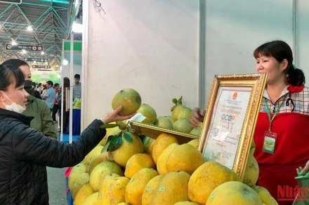 Người tiêu dùng tham quan, mua sắm các sản phẩm OCOP tại "Tuần hàng OCOP-sản vật Việt Nam phát triển và hội nhập". Ảnh: Nguyên Trang