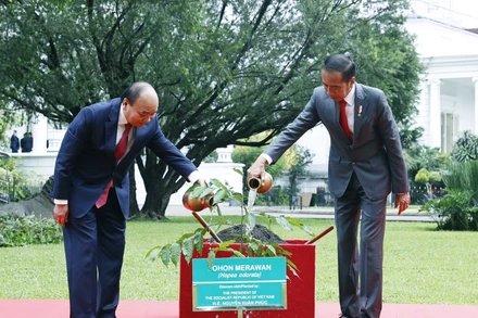 Trong chuyến thăm, Tổng thống Joko Widodo đã mời Chủ tịch nước Nguyễn Xuân Phúc trồng cây sao đen tại Dinh Tổng thống, gửi gắm kỳ vọng cây mau lớn, ngày càng xanh tốt. 