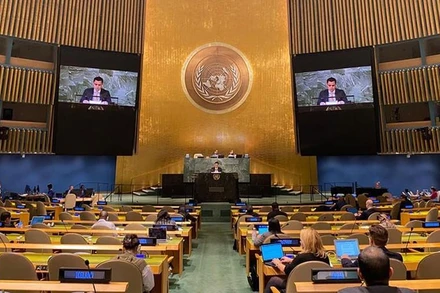 Ðại sứ Ðặng Hoàng Giang, Trưởng Phái đoàn thường trực Việt Nam tại Liên hợp quốc phát biểu tại phiên họp. Ảnh: baoquocte.vn