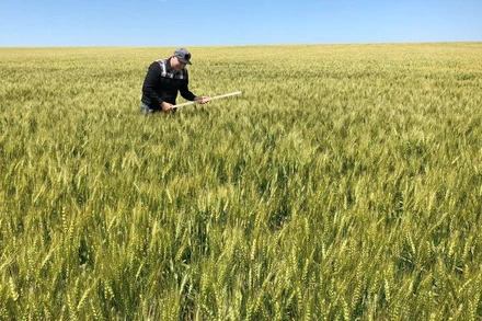 Ảnh minh họa. Nguồn: Reuters