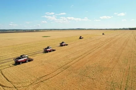 Dầu thô tăng mạnh 3 phiên liên tiếp, giá kim loại cơ bản đồng loạt giảm