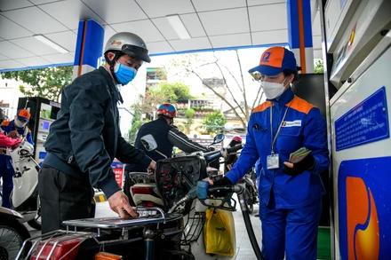 Ảnh: THÀNH ĐẠT