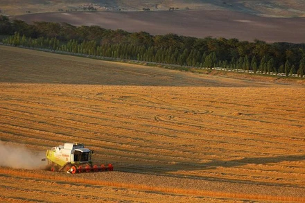 Ảnh minh họa. (Nguồn: Reuters)