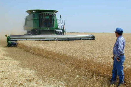 Thị trường hàng hóa khởi sắc sau ngày nghỉ lễ Giáng sinh