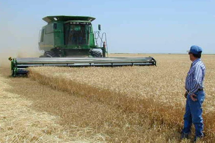 Ảnh minh họa. Nguồn: Reuters