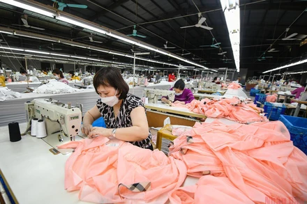 Ảnh: THÀNH ĐẠT