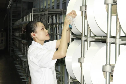 Sản xuất sợi polyester (DTY) tại Nhà máy Xơ sợi Đình Vũ. Ảnh: vnpoly.vn