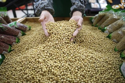 Ảnh minh họa. (Nguồn: Reuters)