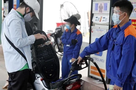 Ảnh: THÀNH ĐẠT