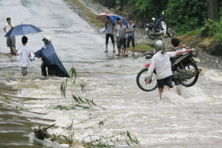 Ảnh minh họa. Nguồn: TTXVN