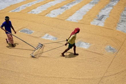 Ảnh minh họa. Nguồn: Reuters