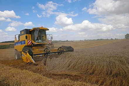 Ảnh minh họa. Nguồn: Reuters 