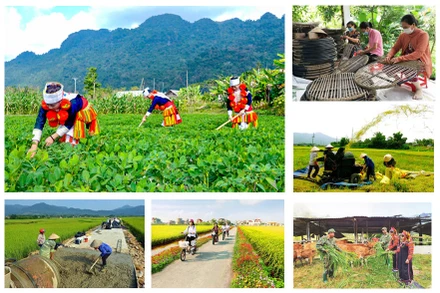 Ảnh minh họa.(Nguồn: Báo điện tử Chính phủ)