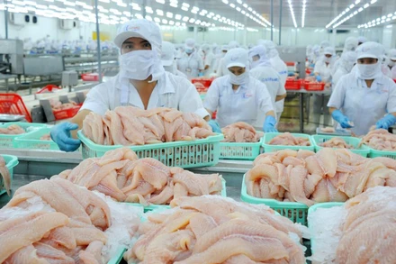 Thủy sản là mặt hàng xuất khẩu tiềm năng sang thị trường Trung Quốc. (Ảnh: LÊ HOÀNG VŨ)