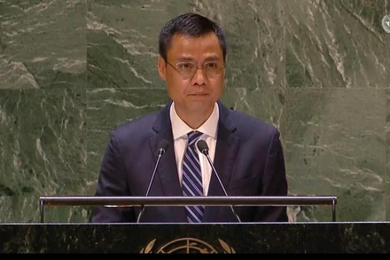 Đại sứ Đặng Hoàng Giang phát biểu tại Hội nghị. (Ảnh: TTXVN)