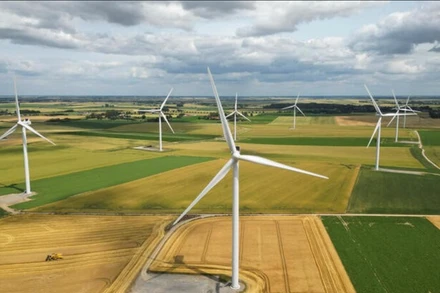 Ảnh minh họa. (Nguồn: Reuters)