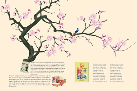 Chút an yên bên những trang sách đầu xuân