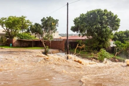 Ảnh minh họa. (Nguồn: Afrik 21/TTXVN)