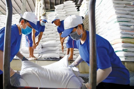 Ảnh minh họa. (Nguồn: Báo điện tử Chính phủ)