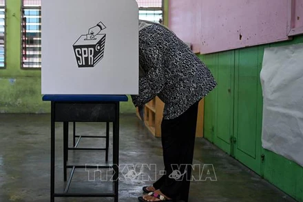 Cử tri bỏ phiếu tại một địa điểm bầu cử ở Selayang, Malaysia, ngày 12/8/2023. (Ảnh: AFP/TTXVN)