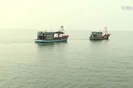 [Video] Bàn giải pháp phát triển ngành thủy sản bền vững