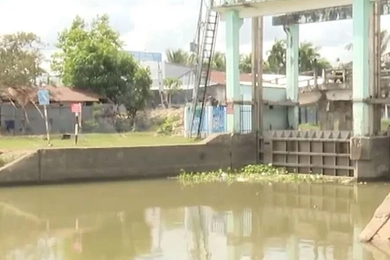 [Video] Xâm nhập mặn ở Đồng bằng sông Cửu Long có xu thế giảm
