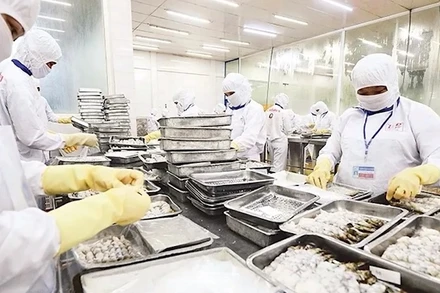 [Video] Tăng cường kiểm tra, giám sát hàm lượng asen vô cơ trong cá và thủy sản