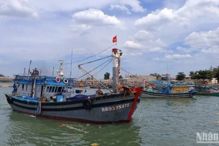 [Video] Bình Định siết chặt kiểm soát IUU, bảo vệ ngành thủy sản bền vững