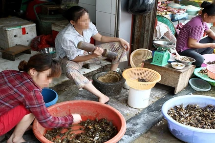[Video] Tăng cường kiểm tra, xử phạt kinh doanh thực phẩm, nội tạng không rõ nguồn gốc