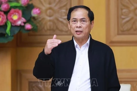 Phó Thủ tướng, Bộ trưởng Bộ Ngoại giao Bùi Thanh Sơn. (Ảnh tư liệu: Dương Giang/TTXVN)