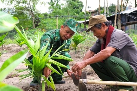 Cán bộ Đồn Biên phòng Dục Nông (Bộ Chỉ huy Bộ đội Biên phòng tỉnh Kon Tum) hướng dẫn người dân canh tác cây trồng. (Ảnh: MAI HƯƠNG)
